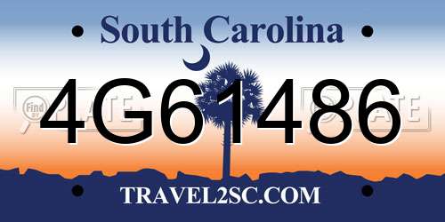 4G61486 South Carolina License Plate