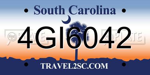 4GI6042 South Carolina License Plate