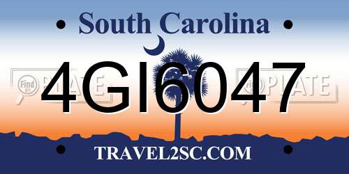 4GI6047 South Carolina License Plate