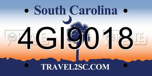 4GI9018 South Carolina License Plate