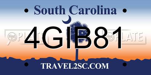 4GIB81 South Carolina License Plate