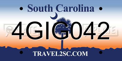 4GIG042 South Carolina License Plate