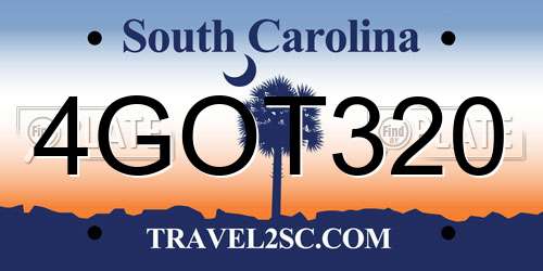 4GOT320 South Carolina License Plate