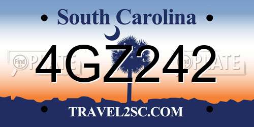 4GZ242 South Carolina License Plate