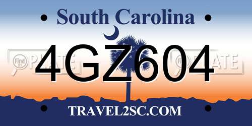 4GZ604 South Carolina License Plate