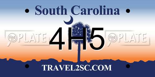 4H5 South Carolina License Plate