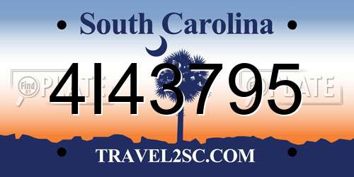 4I43795 South Carolina License Plate