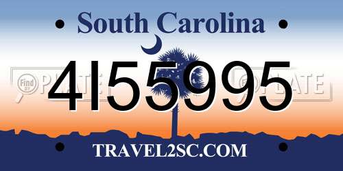 4I55995 South Carolina License Plate