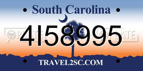 4I58995 South Carolina License Plate