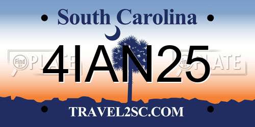 4IAN25 South Carolina License Plate