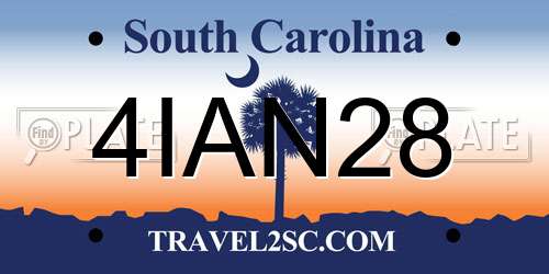 4IAN28 South Carolina License Plate