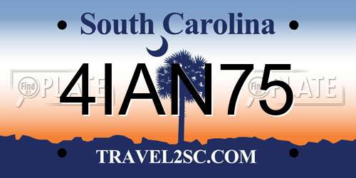 4IAN75 South Carolina License Plate