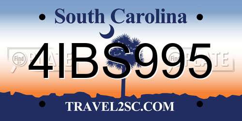 4IBS995 South Carolina License Plate