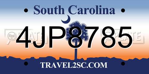 4JP8785 South Carolina License Plate