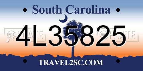 4L35825 South Carolina License Plate