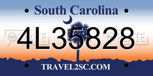 4L35828 South Carolina License Plate