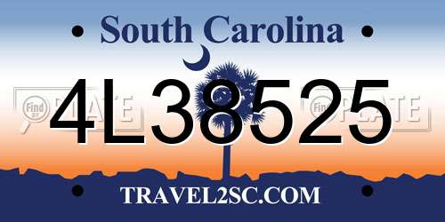 4L38525 South Carolina License Plate