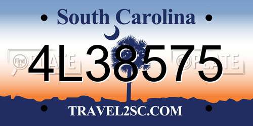 4L38575 South Carolina License Plate