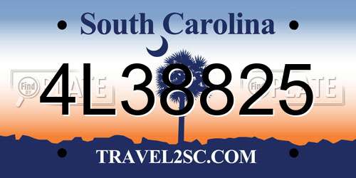 4L38825 South Carolina License Plate