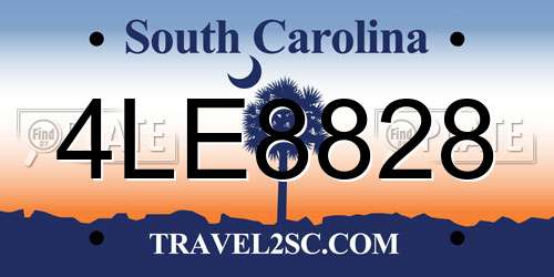 4LE8828 South Carolina License Plate