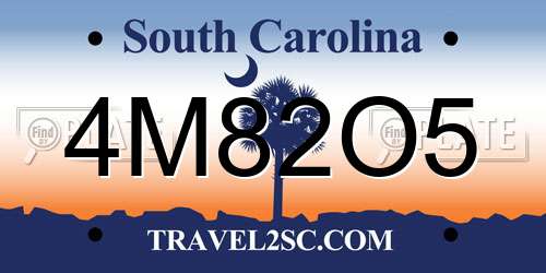 4M82O5 South Carolina License Plate