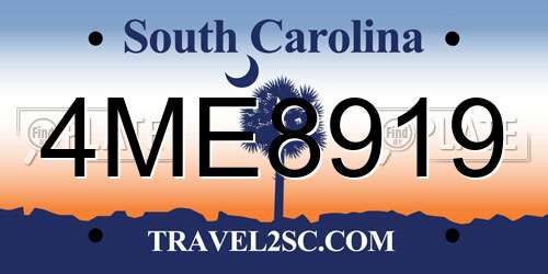 4ME8919 South Carolina License Plate