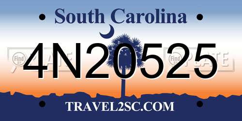 4N20525 South Carolina License Plate
