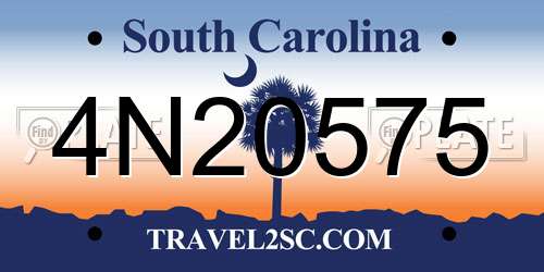 4N20575 South Carolina License Plate