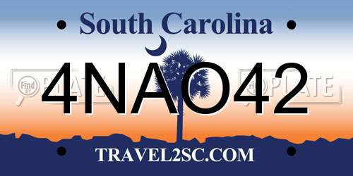 4NAO42 South Carolina License Plate
