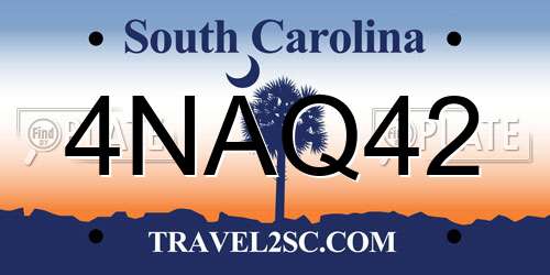 4NAQ42 South Carolina License Plate