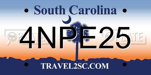 4NPE25 South Carolina License Plate