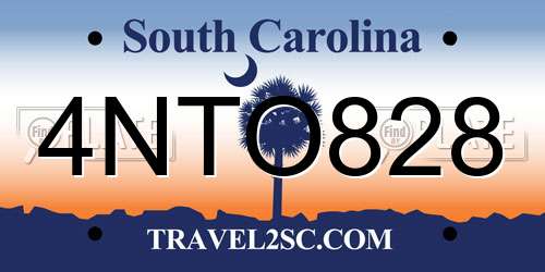 4NTO828 South Carolina License Plate