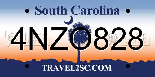 4NZO828 South Carolina License Plate