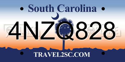 4NZQ828 South Carolina License Plate