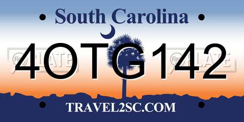 4OTG142 South Carolina License Plate