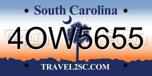 4OW5655 South Carolina License Plate