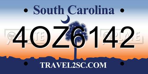 4OZ6142 South Carolina License Plate