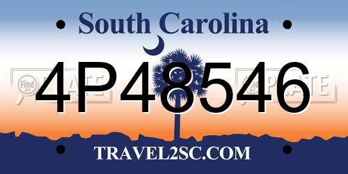 4P48546 South Carolina License Plate