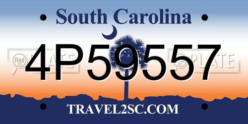 4P59557 South Carolina License Plate