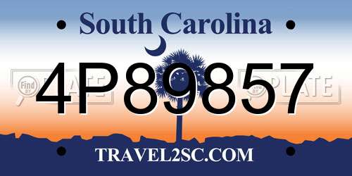 4P89857 South Carolina License Plate