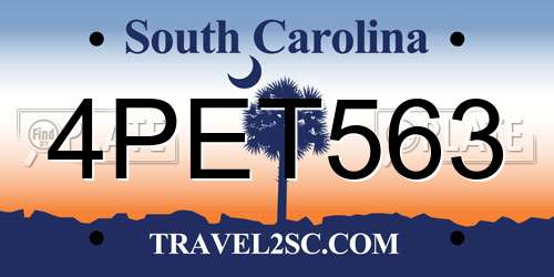 4PET563 South Carolina License Plate