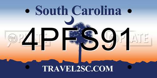 4PFS91 South Carolina License Plate