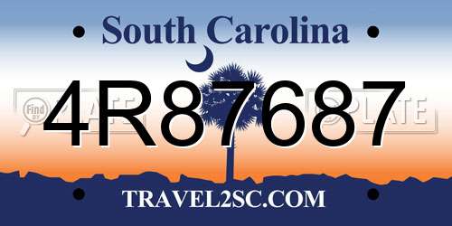 4R87687 South Carolina License Plate