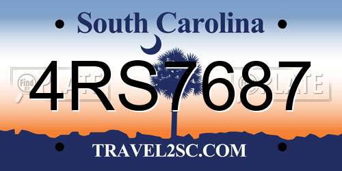 4RS7687 South Carolina License Plate