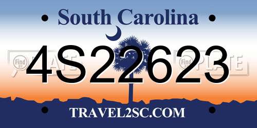 4S22623 South Carolina License Plate