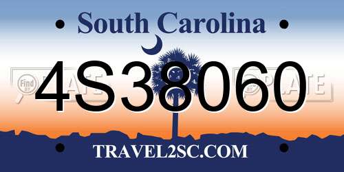 4S38060 South Carolina License Plate