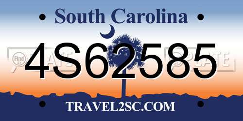 4S62585 South Carolina License Plate