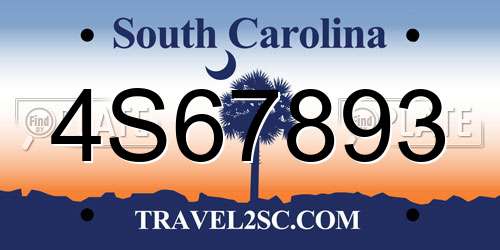 4S67893 South Carolina License Plate