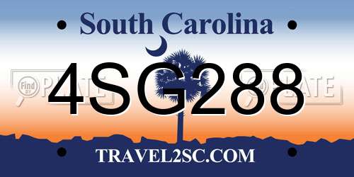 4SG288 South Carolina License Plate