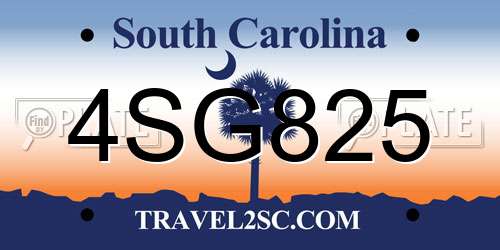 4SG825 South Carolina License Plate